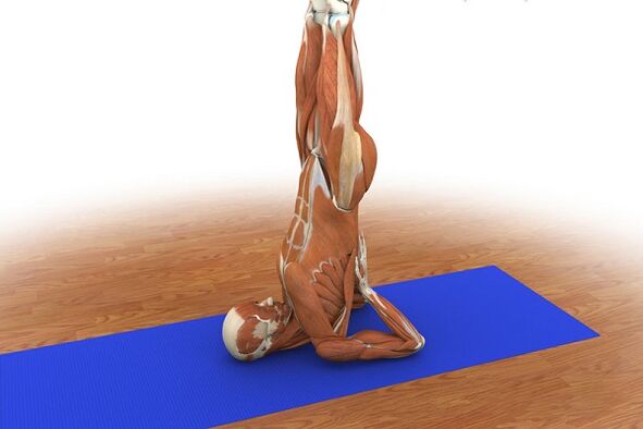 Exercicio para a potencia Bidueiro